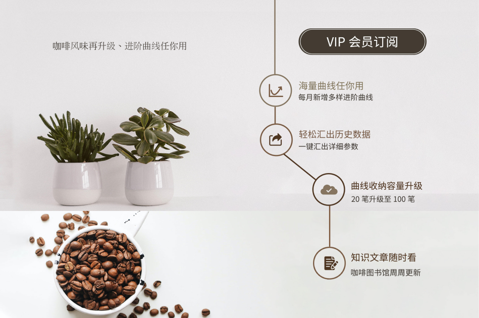 VIP 大陸